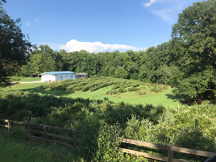 WholeFarm WholeFarm